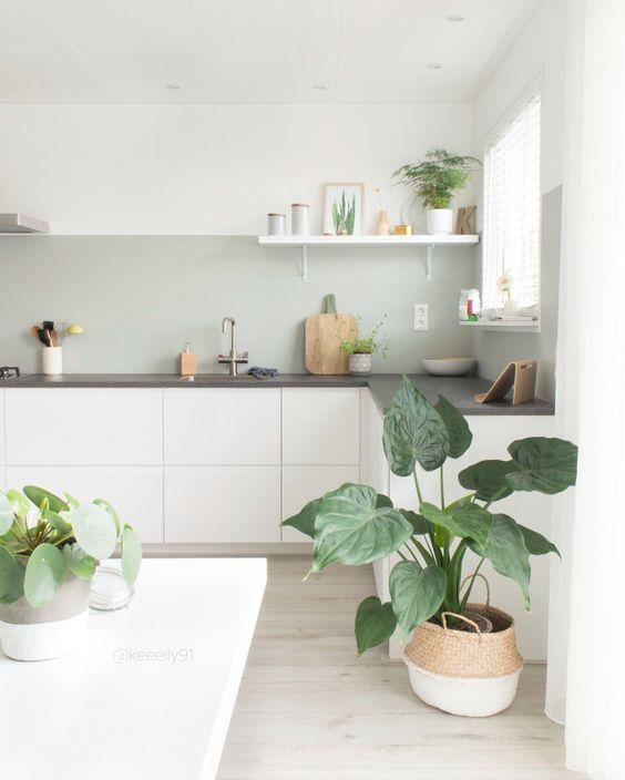 decorar-con-plantas-10