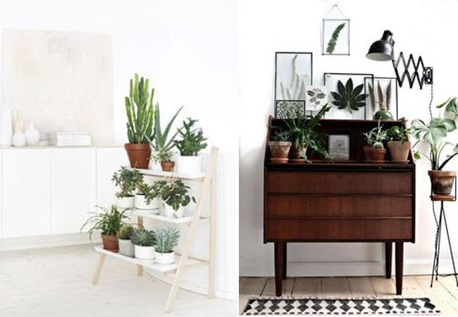 decorar-con-plantas-12