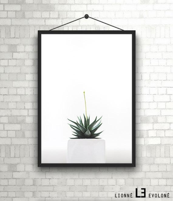 cactus lámina bemydeco