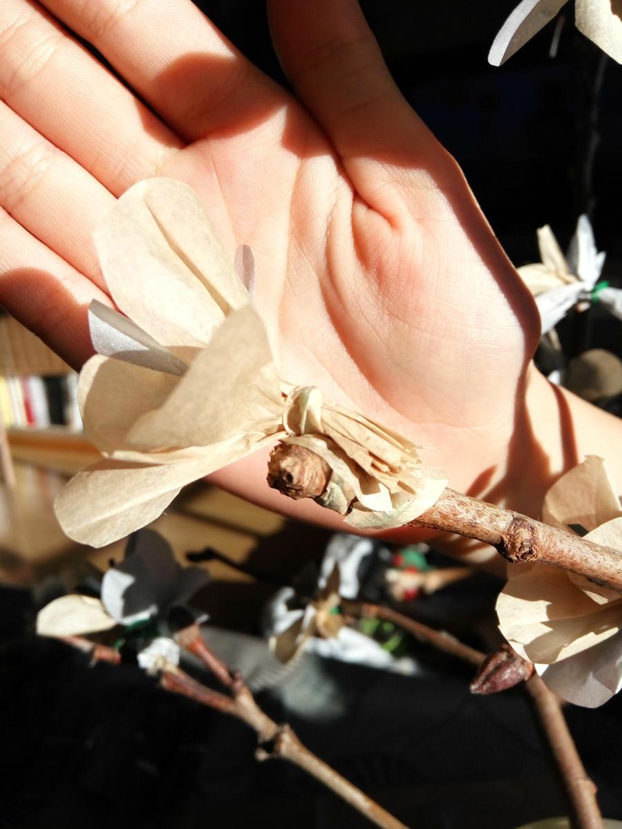 IMG_20160305_172156_HDR