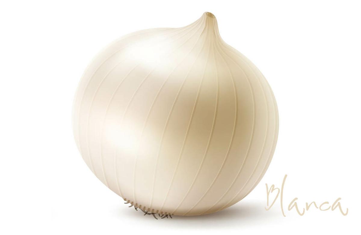 cebolla blanca por Olga Carrera Blogger