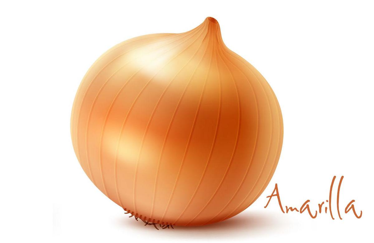 Cebolla amarilla por Olga Carrera Blogger