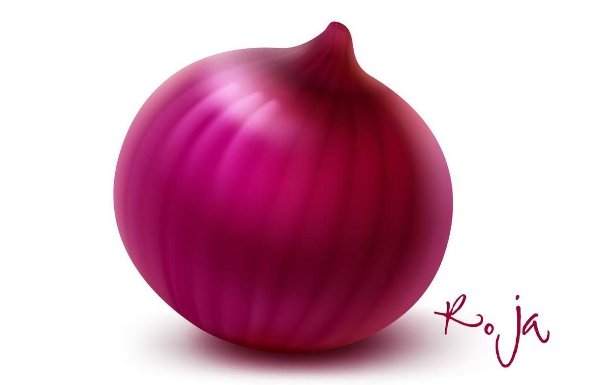  cebolla roja por Olga Carrera Blogger