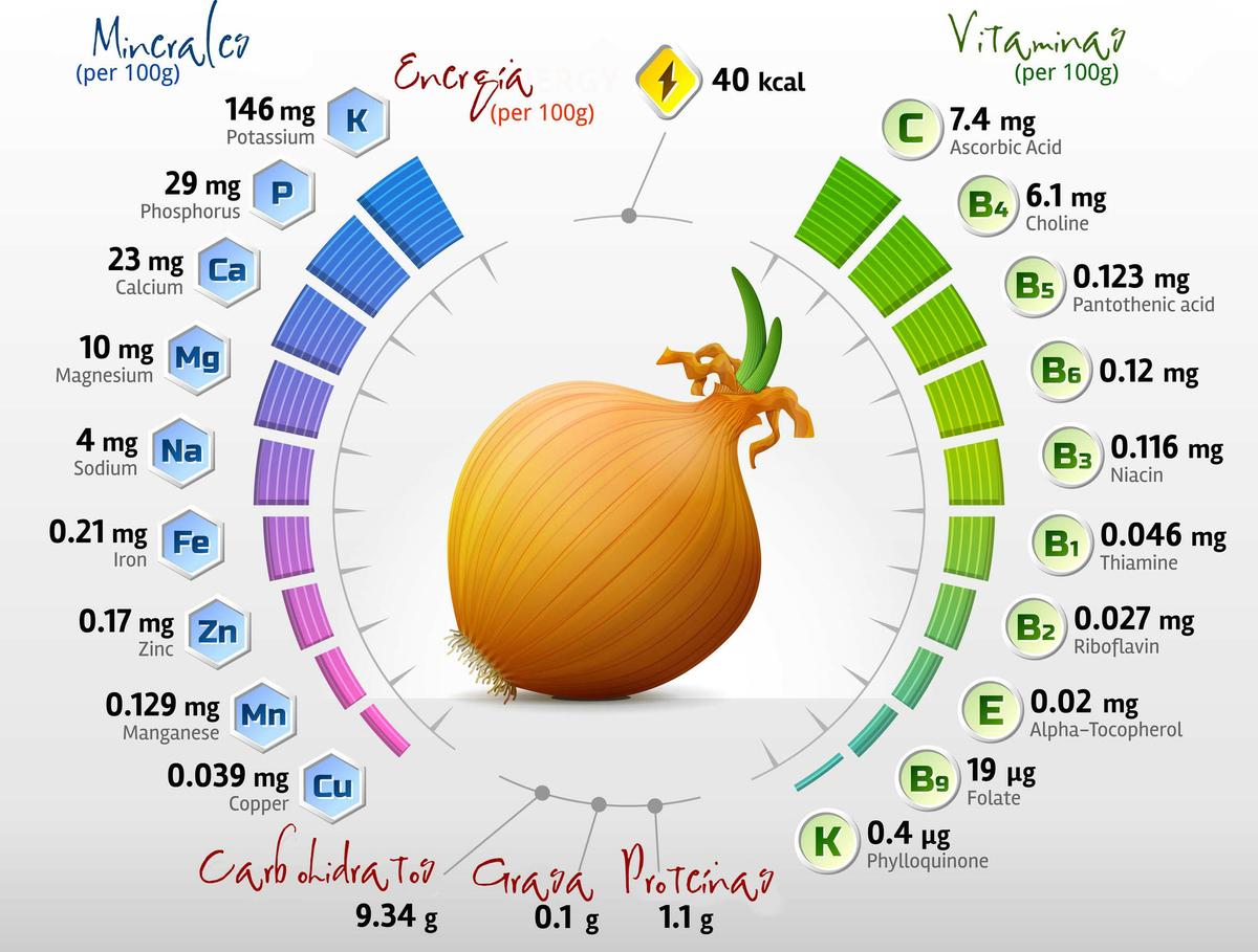 Valor-nutricional-de-la-Cebolla-por-Olga-Carrera-Blogger