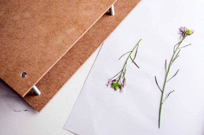 DIY: cómo hacer una prensa para flores