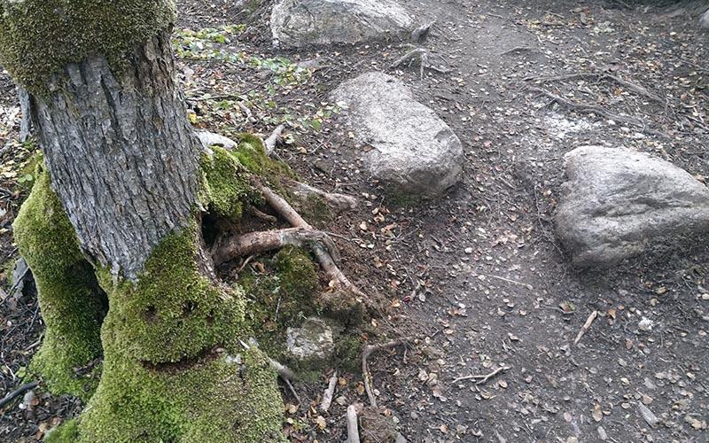 laguna esmeralda ushuaia