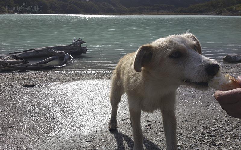 laguna esmeralda - ushuaia - relatos de un viajero