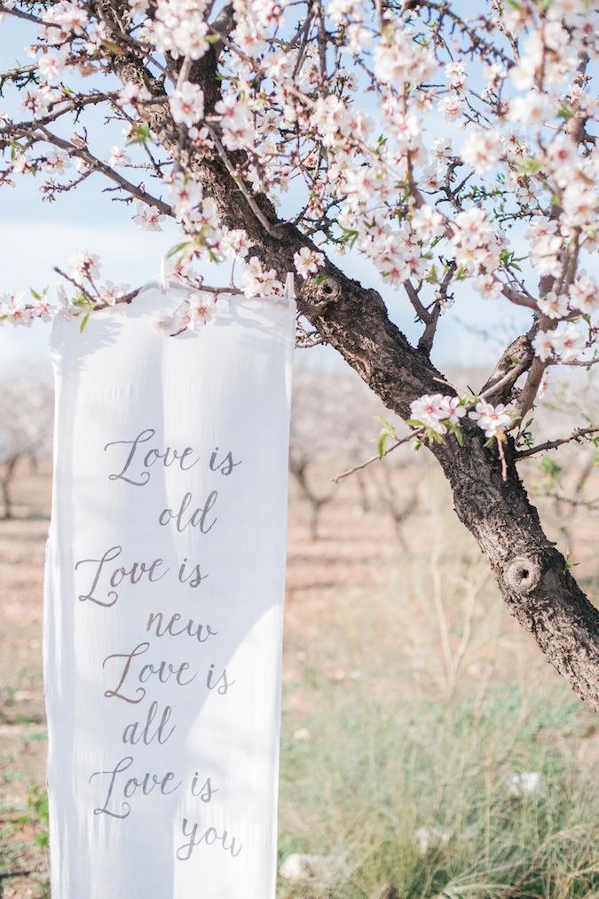 Una novia entre almendros