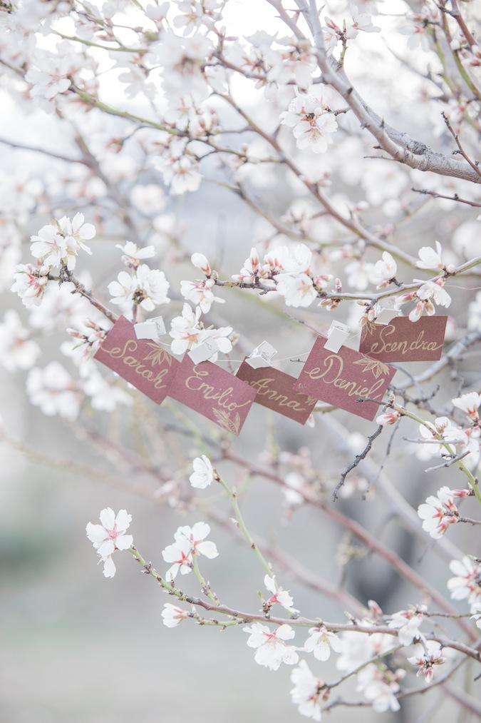 Una novia entre almendros