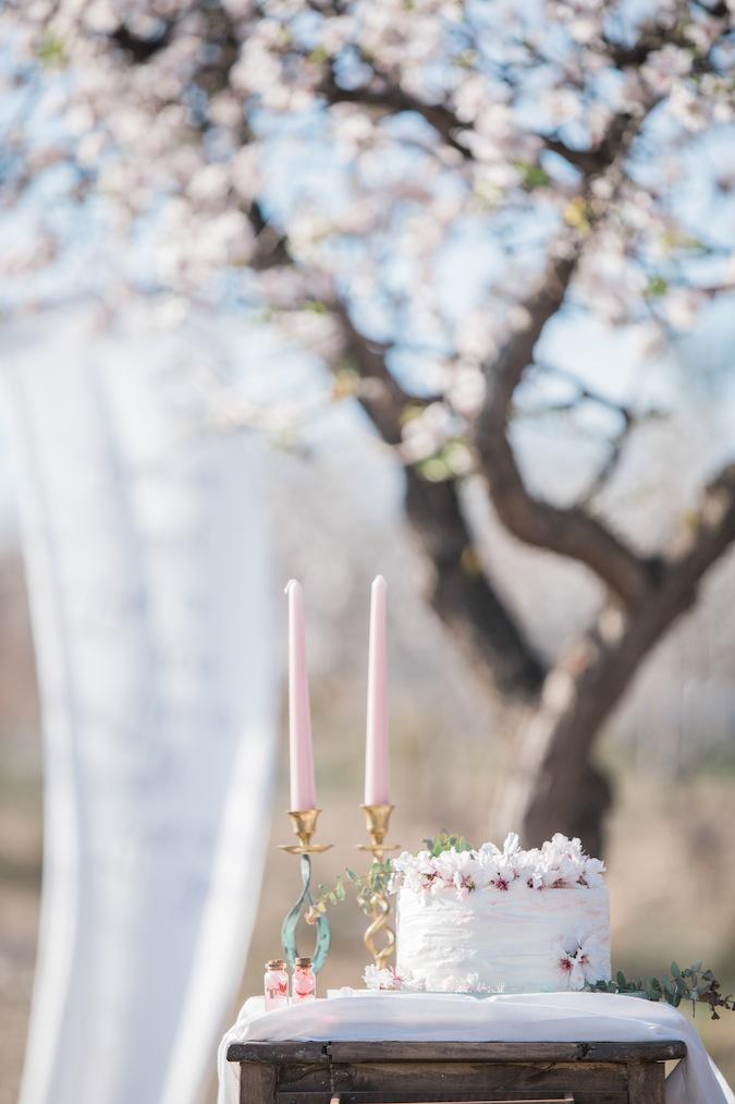 Una novia entre almendros