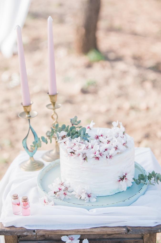 Una novia entre almendros
