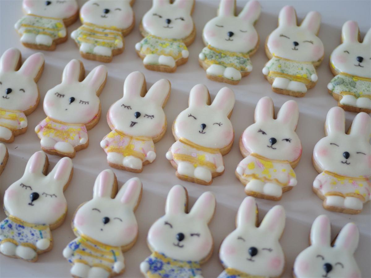 doctorcookies easter cookies (6).JPG