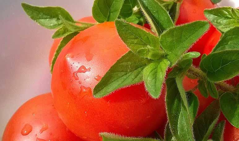 Eliminar las manchas de salsa de tomate con vinagre