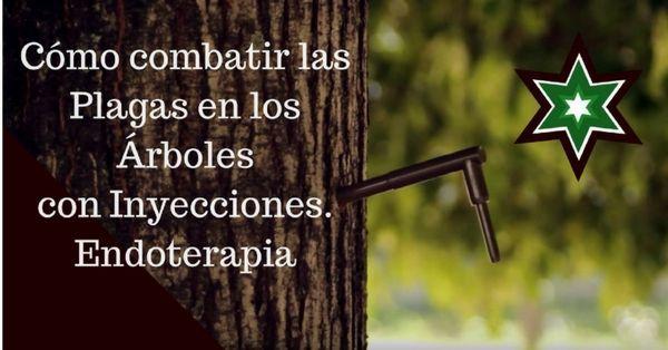 Plagas endoterapia en árboles