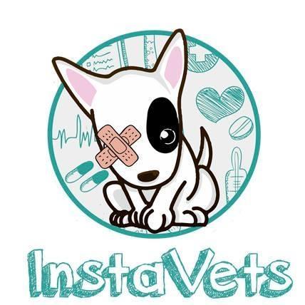InstaVets, una empresa de veterinarios a domicilio que se expande por el territorio español
