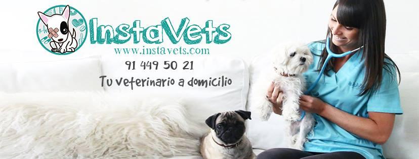 InstaVets, una empresa de veterinarios a domicilio que se expande por el territorio español