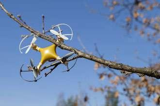 dron atrapado en un arbol