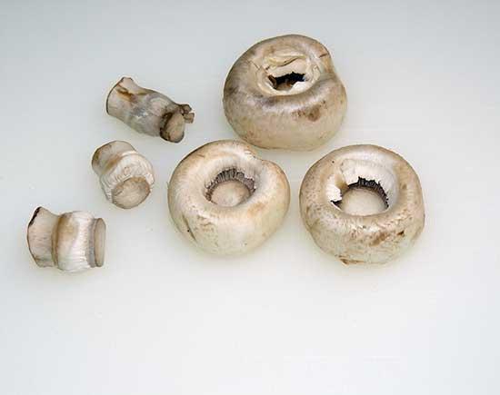 Champiñones rellenos de carne