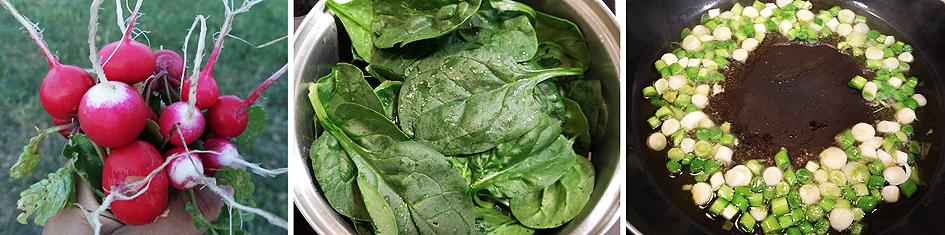 primeras cosechas Preparando el huerto con la motoazada o mula mecánica Portal Jardín