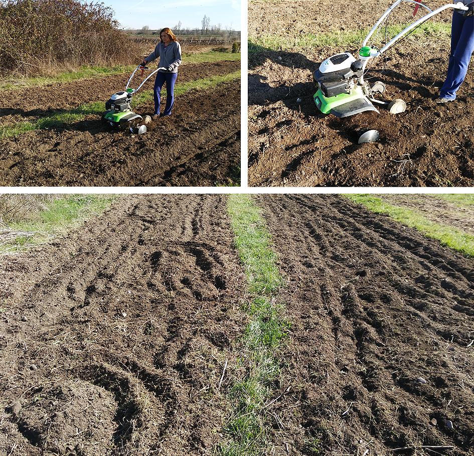 Preparando el huerto con la motoazada o mula mecánica Portal Jardín