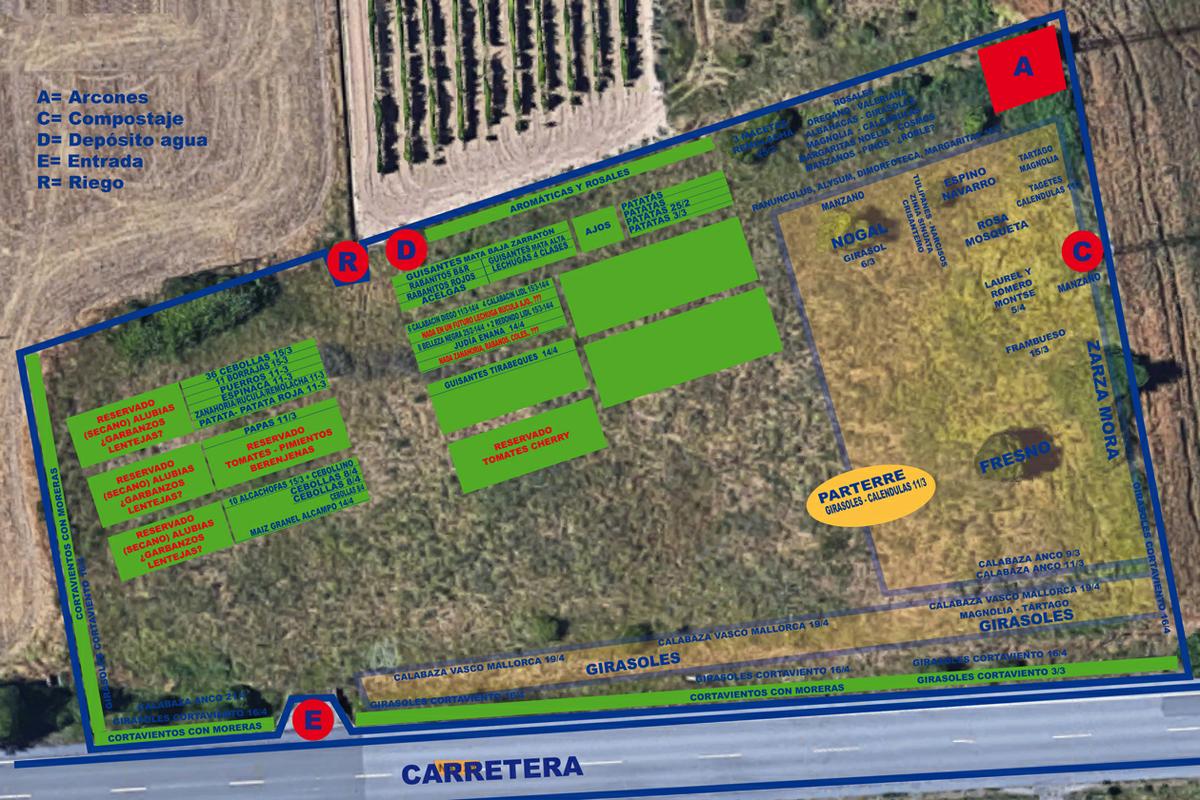 Preparando el huerto con la motoazada o mula mecánica Portal Jardín