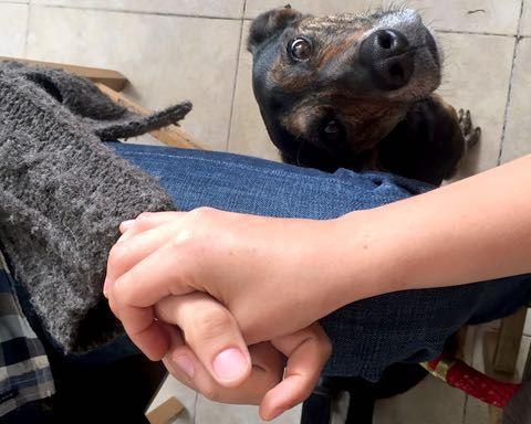 Cómo reconocer a la pareja perfecta