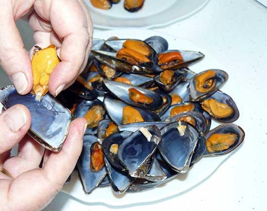 Mejillones rellenos o tigres