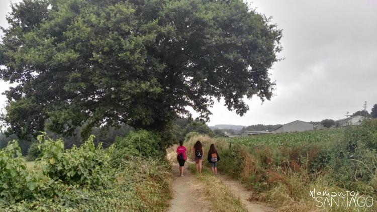mujeres caminando por sendero del camino