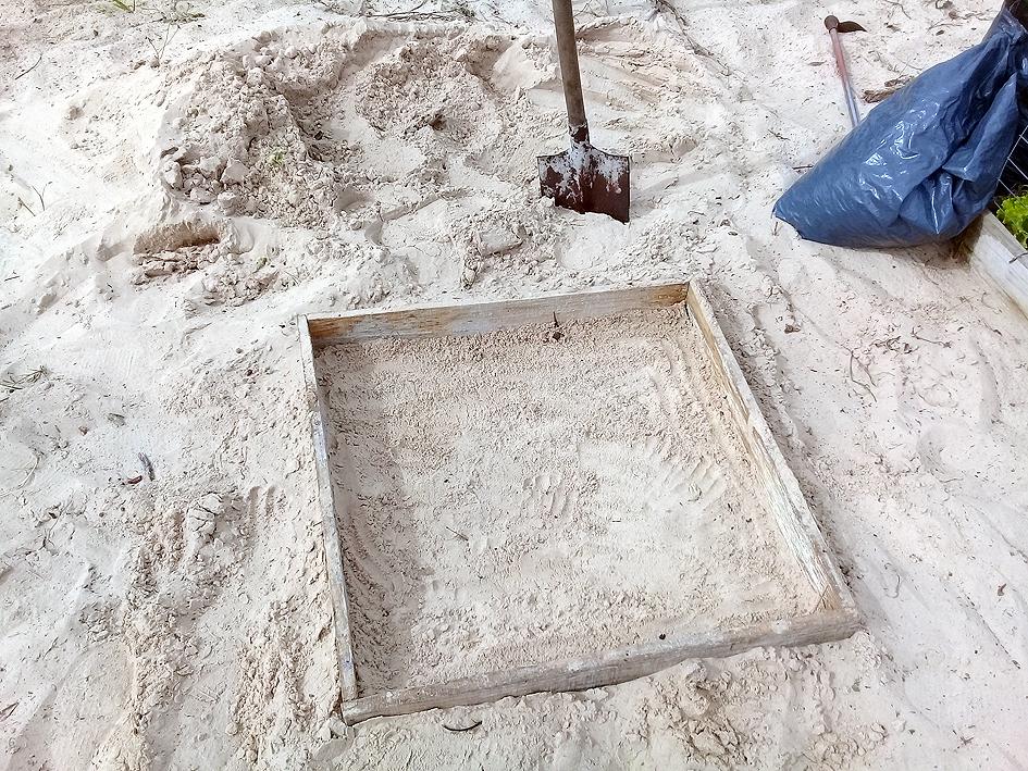 Huerto en la arena - Portal Jardín