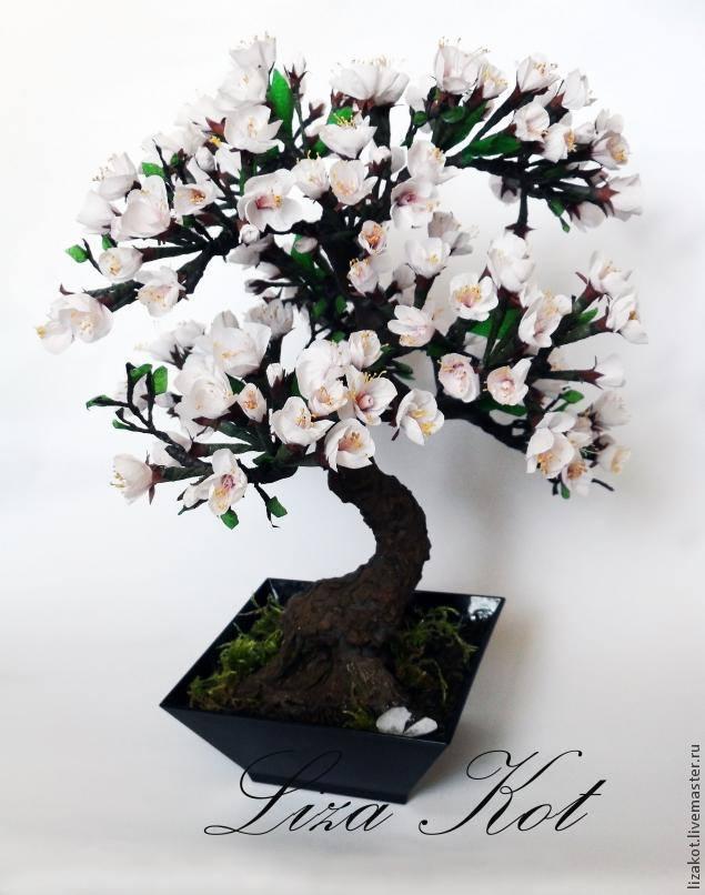 bonsai con flores sakura