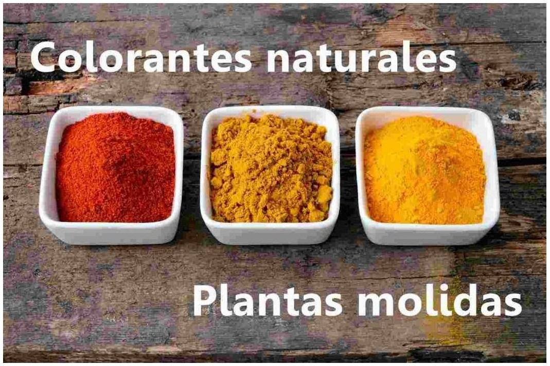 tintes de origen vegetal