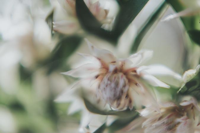 Una novia con caracter