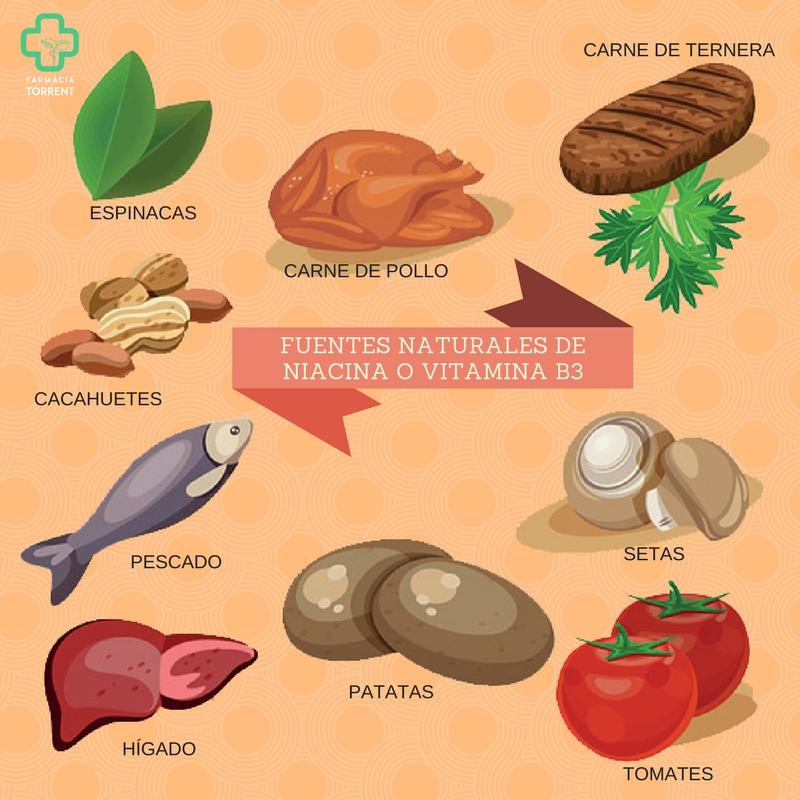 Alimentos ricos en vitamina b3 o niacina