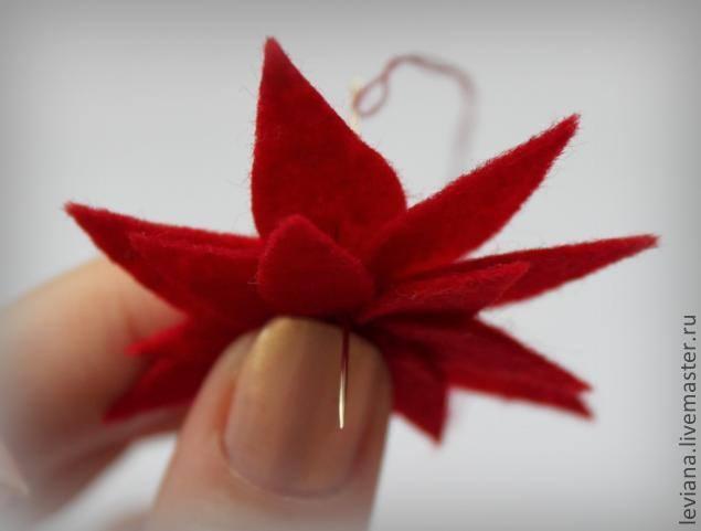 estrella federal de fieltro