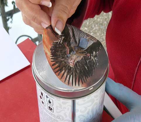 game-of-thrones,empezando-a-pegar-en-la-tapa-a-Daenerys-Targaryen