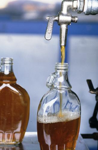 análisis de la dieta del sirope de arce