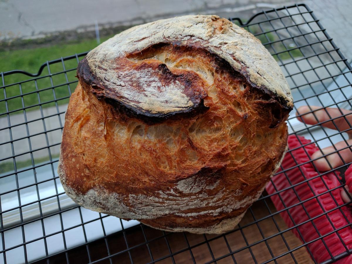 Lujo: Pan casero sin amasar y sin panificadora | www.musafrugal.com