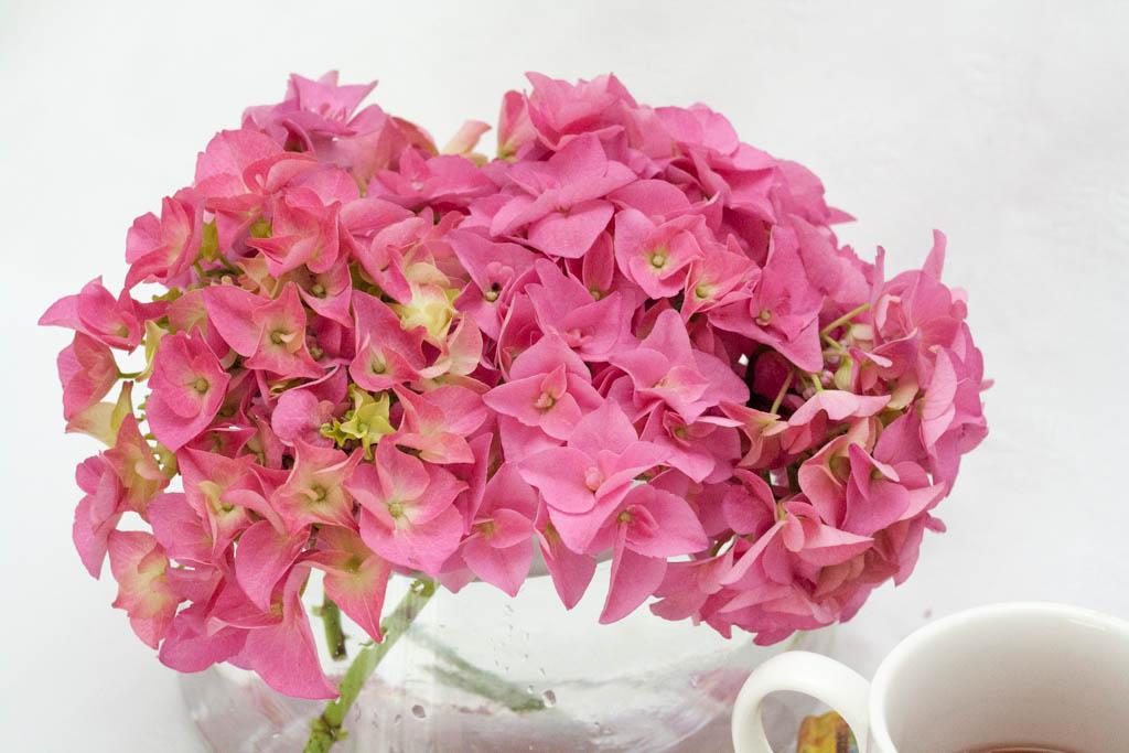 como mantener flores frescas en casa