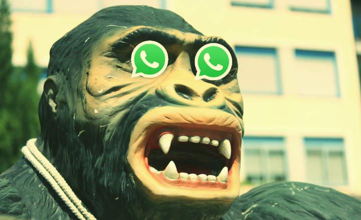 Nuevo Timo estafa bulo de WHatsApp con Krelis Hernandez falsa Directora de WhatsApp