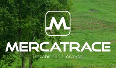 Mercatrace permite conocer el recorrido de los alimentos y consigue más de 86.000 euros