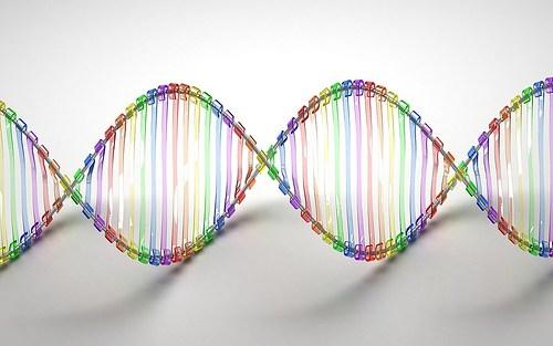 DNA photo