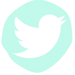 ICONO TWITTER BEMYDECO