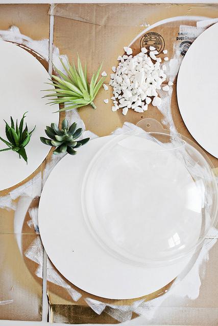 02 decoracion plantas DIY