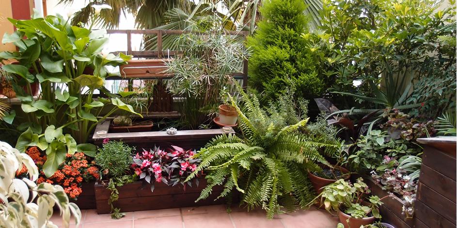 terraza perfecta gracias al riego por goteo