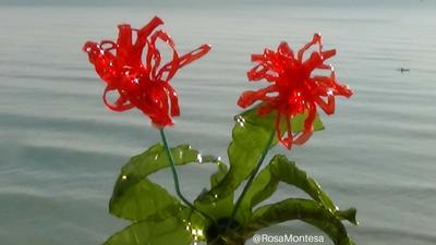 Flores reciclando botellas de plástico por Rosa Montesa