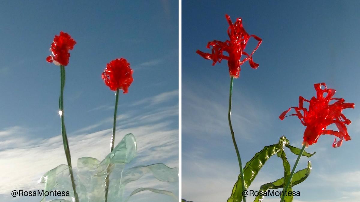 Flores reciclando botellas de plástico por Rosa Montesa
