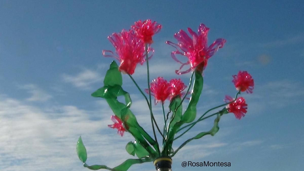 Flores reciclando botellas de plástico por Rosa Montesa