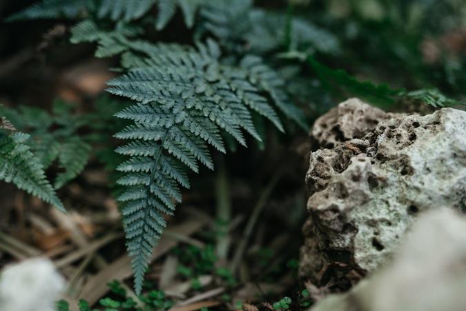 Un elopement con aires vintage