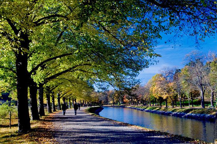 Djurgården que ver en estocolmo