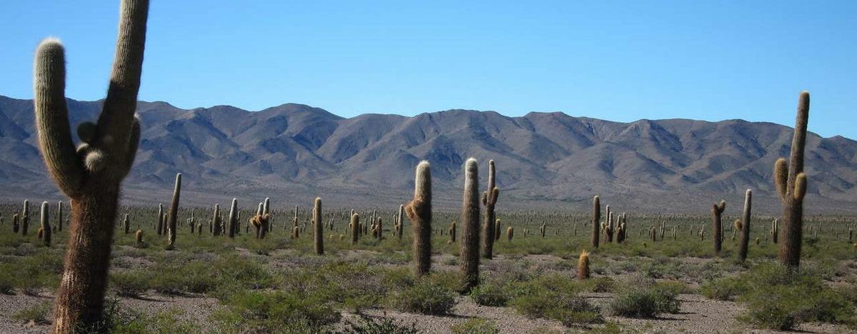 parque nacional los cardones